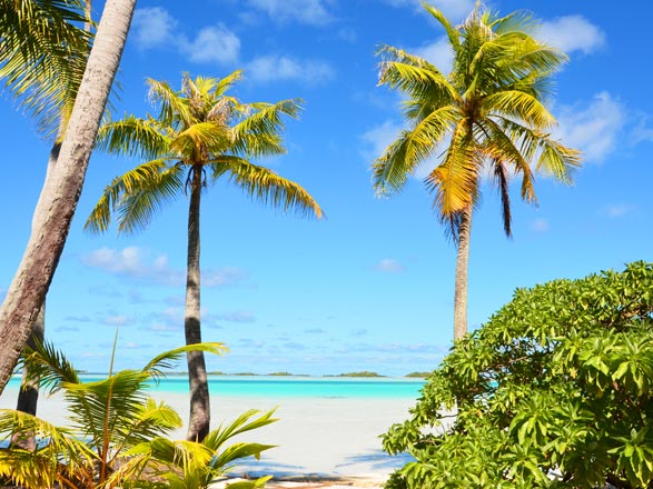 Escale Tuamotu (Rangiroa)